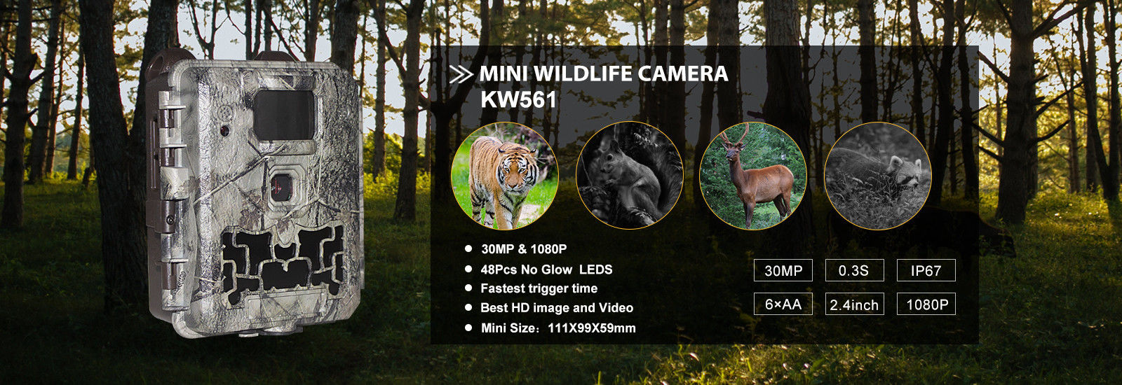 جودة كاميرا الحياة البرية الرقمية مصنع
