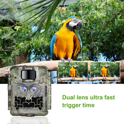 DC12V Dual Lens 1080P Wildlife Trail Camera 13MP CMOS No Glow Cam