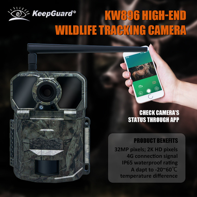 KW896 كاميرات التصوير الصيد للحيوانات البرية 4G كاميرات التصوير الخلوية مصنع بيع OEM ODM كاميرات مراقبة الحيوانات البرية