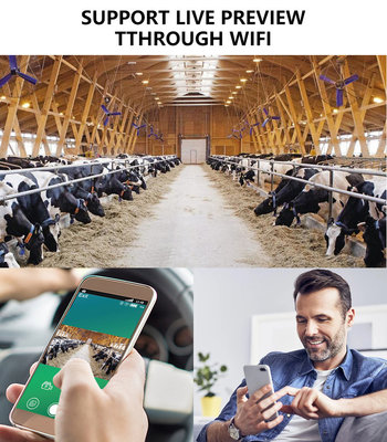 KW866 WIFI طريق الصيد الكاميرا مقاومة للماء IP67 OEM/ODM 512GB تخزين بطاقة ذاكرة SD 32MP 4K