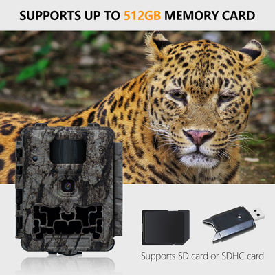 كاميرا صيد احترافية مع ميزة القطع التلقائي للأشعة تحت الحمراء وعدسة دقيقة 450 مم لدعم صور واضحة ومفصلة للحياة البرية