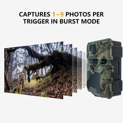 كاميرا المسار ODM/OEM KW571 مقاومة للماء IP67 بدون ضوء CMOS Sensor صورة 30MP 1080P 0.25s سرعة الزناد رؤية ليلية