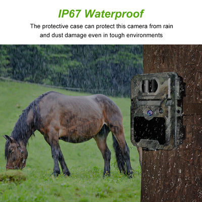 كاميرا صيد IP67 بدون توهج مع دعم عدسة دقيقة 450 مم وكاميرات صيد عالية الدقة بفاصل زمني من 1 ثانية إلى 60 دقيقة