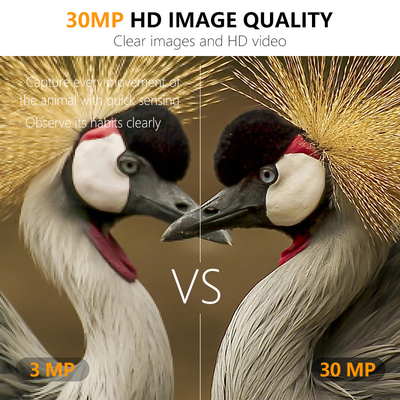 كاميرا المسار ODM/OEM KW571 مقاومة للماء IP67 بدون ضوء CMOS Sensor صورة 30MP 1080P 0.25s سرعة الزناد رؤية ليلية