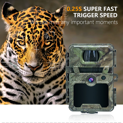 كاميرا المسار ODM/OEM KW571 مقاومة للماء IP67 بدون ضوء CMOS Sensor صورة 30MP 1080P 0.25s سرعة الزناد رؤية ليلية
