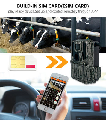 كاميرات الصيد والمسارات الكهربائية الطاقة الشمسية 4G كاميرا لاسلكية KW897 مع هوائيين مزدوجين 100ft Night Range 36MP 2K فيديو في 30fps