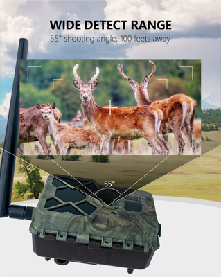 كاميرا متابعة الحياة البرية في الهواء الطلق خصم 4G مع بطاقة ايس ايم 24MP 1080P في 30fps GSM 4G APP