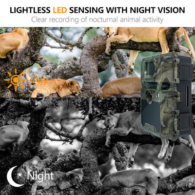 كاميرات صيد عالية الدقة قابلة للتخصيص لمراقبة الحياة البرية مع دعم بطاقة الذاكرة 512GB