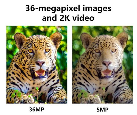 كاميرا الصيد اللاسلكية الخلوية 4G KW897 مدمجة في بطاقة SIM 36MP التقاط فيديو 2K مع 30fps مع هوائيين مزدوجين للحياة البرية