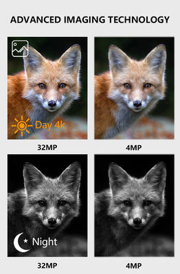 كاميرا واي فاي وبلوتوث مقاومة للماء بمعيار IP67