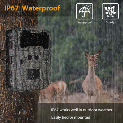 كاميرا الصيد مزدوجة العدسة KW696 OEM/ODM 0.4s سرعة الاستجابة 1080P/30MP مقاومة للماء IP67 100ft النطاق الليلي لصيد الحيوانات البرية