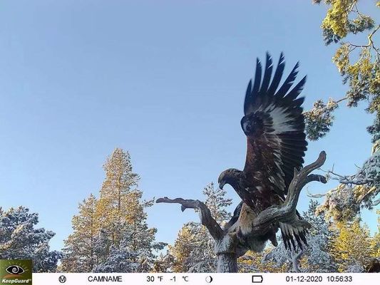 كاميرا IP65 مقاومة للماء