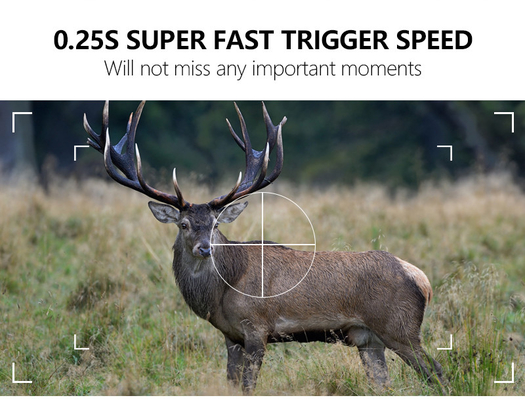 WIFI Trail Camera KW866 OEM/ODM 0.25s Capture Speed Waterproof IP67 up to 512GB Storage 32MP 4K at 30fps كاميرا الحياة البرية