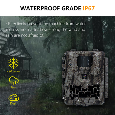 30MP 1080P ميني كاميرا المسار Keepguard KW561 IP67 سعر تنافسي ضوء IR بدون ضوء كاميرات الحياة البرية
