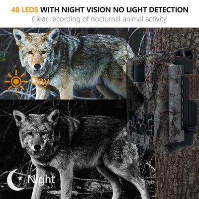30MP 1080P ميني كاميرا المسار Keepguard KW561 IP67 سعر تنافسي ضوء IR بدون ضوء كاميرات الحياة البرية