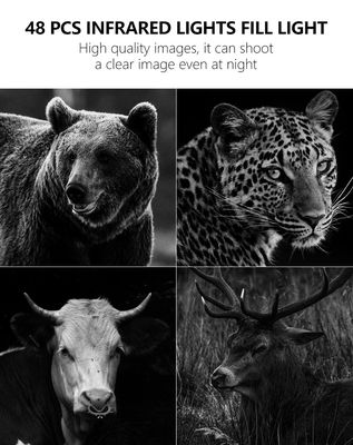 تجربة أداء لا مثيل له مع كاميرا 4G المسار الحل المثالي لمراقبة الحياة البرية