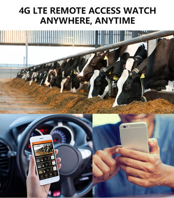 تجربة أداء لا مثيل له مع كاميرا 4G المسار الحل المثالي لمراقبة الحياة البرية