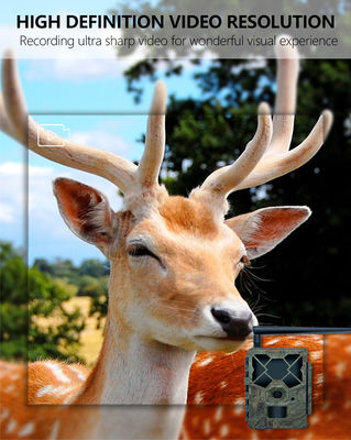 تجربة أداء لا مثيل له مع كاميرا 4G المسار الحل المثالي لمراقبة الحياة البرية