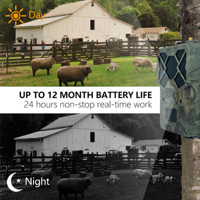 تجربة أداء لا مثيل له مع كاميرا 4G المسار الحل المثالي لمراقبة الحياة البرية