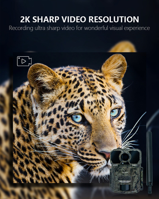 4G الخلوية كاميرا المسار السريع الزناد 1-9 التقاط 32MP APP التحكم الطاقة الشمسية الألواح الصيد الملحقات