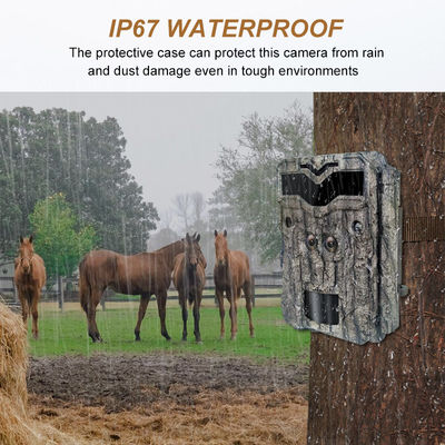 كاميرات الصيد عالية الجودة Keepguard عدسة مزدوجة 32 ميجابايت بدون ضوء كاميرة LED Trail 1080P رؤية ليلية كاميرا لعبة الصيد للحياة البرية
