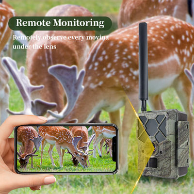 كاميرات الصيد بجهاز تحكم عن بعد 4G KW886 مع قدرة الفيديو 1080p و 120ft Night Range