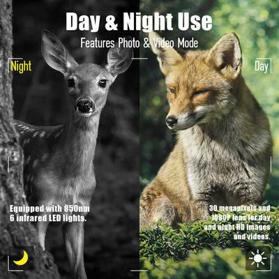 كاميرا عالية الدقة للحياة البرية بدقة 13 ميجابكسل ، كاميرا مزدوجة العدسة