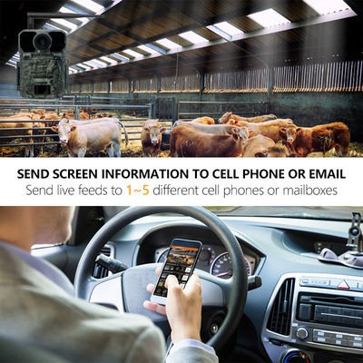 CMOS 25m IR Wireless Trail Camera Waterproof Ip65 1080p Hd 180mA