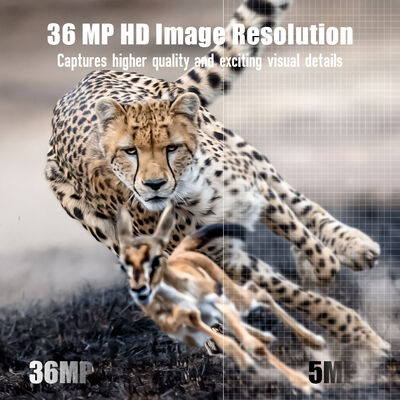 كاميرا تريل 4G مع إمكانية المشاهدة عن بعد وغلاف قوي مصمم لالتقاط صور مفصلة في المواقع النائية