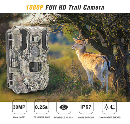 الأشعة تحت الحمراء LEDs كاميرا صيد الحياة البرية 30MP 1080P IP66