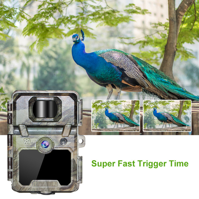30MP 1080P HD الأشعة تحت الحمراء الغزلان البرية الصيد تريل الكاميرا 940nm لا توهج