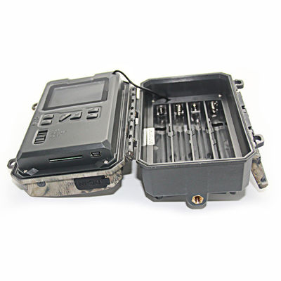 كاميرا للحياة البرية