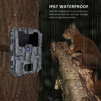 940nm LEDs Wifi Trail Camera APP التحكم عن بعد لا توهج غير مرئي