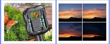 1.3M بكسل كاميرا Wildlife Garden Camera Time Lapse تدعم SDHC MMC