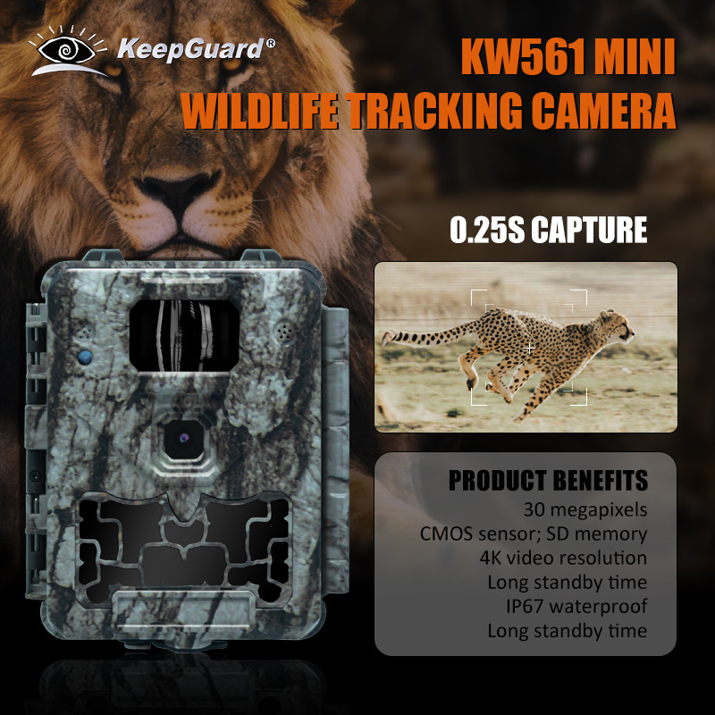 KW561 كاميرا تحت الحمراء لمتنزهات الحياة البرية ميني 30MP 0.25s سرعة 4K دقة الفيديو جهاز استشعار CMOS مقاوم للماء ذاكرة SD الرؤية الليلية