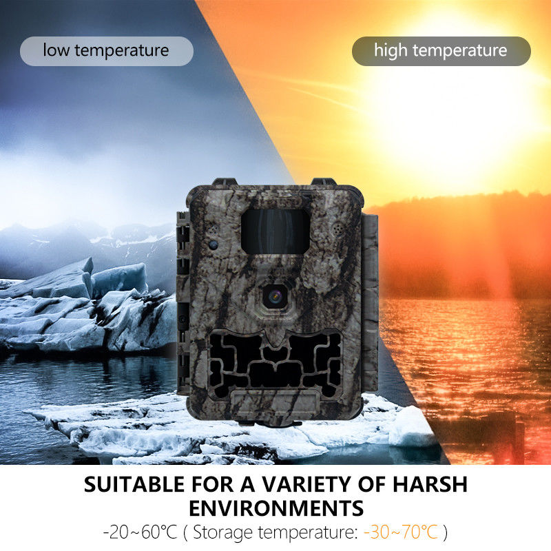 كاميرا صيد احترافية مع ميزة القطع التلقائي للأشعة تحت الحمراء وعدسة دقيقة 450 مم لدعم صور واضحة ومفصلة للحياة البرية