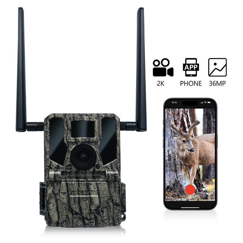 كاميرا 4G عالية الأداء 36MP صور HD ومقاطع فيديو 2K كاميرا صيد مضادة للماء IP66 مزدوجة الهوائية بسعة تخزين 512GB